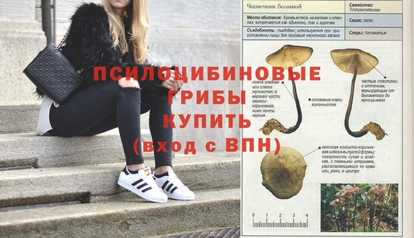 меф VHQ Богданович