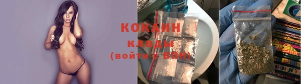 ALPHA-PVP Богородицк