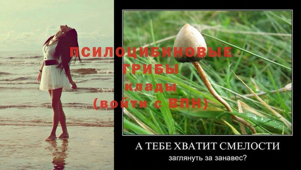 ALPHA-PVP Богородицк