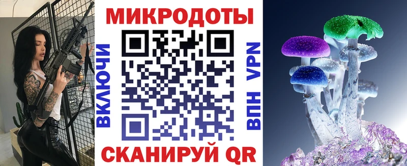 Галлюциногенные грибы Psilocybe  Кстово 