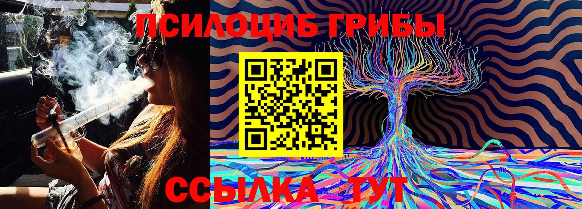 Кстово  Псилоцибиновые грибы мицелий  Вход с VPN  Галлюциногенные грибы Cubensis 